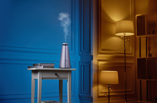 Scent Diffuser Shop Dubai: Remastering Your Atmosphere with ISCENT — ISCENT