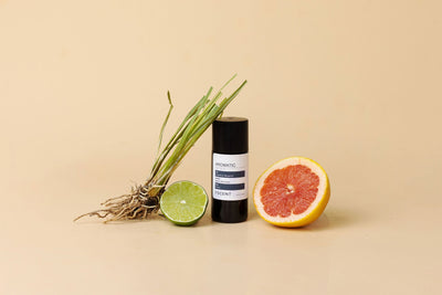 Best Scent Diffuser for Pet Odors: The 2026 Luxury Guide to a Fresh Home — ISCENT