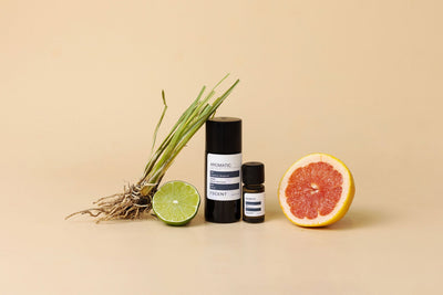 How to Get Rid of Musty Smell in House in Dubai: A 2026 Guide to Sensory Restoration — ISCENT