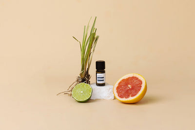 The Definitive Citrus Fragrance Buying Guide: Remastering Freshness for 2026 — ISCENT