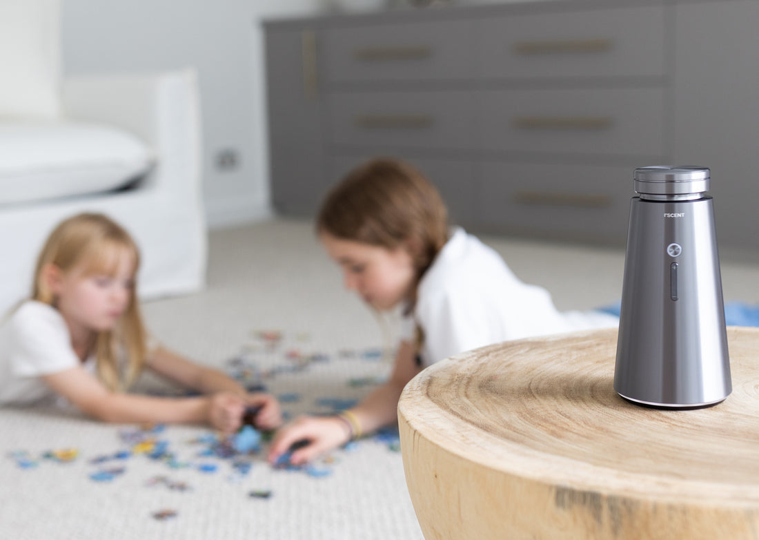 Aroma Diffuser Myths: Remastering the Truth About Home Scenting in 2026
