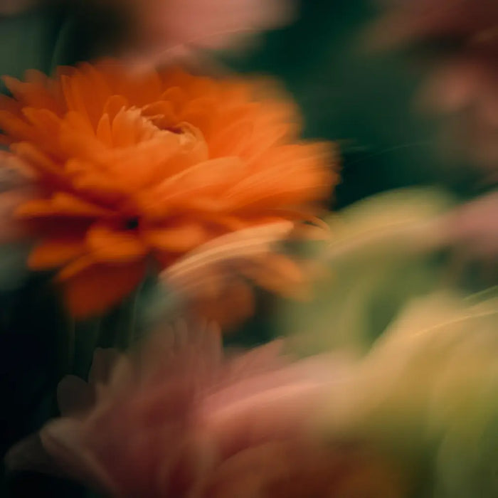 Floral