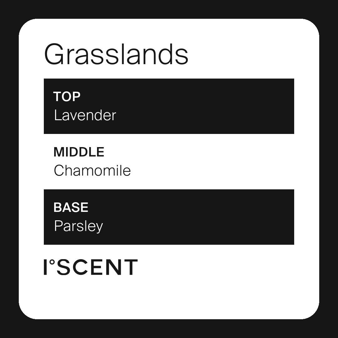Grasslands fragrance notes