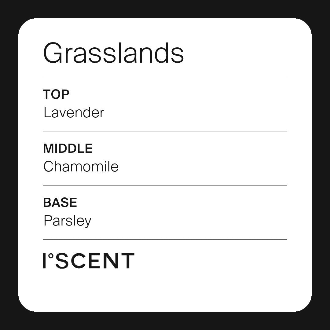 Grasslands fragrance notes