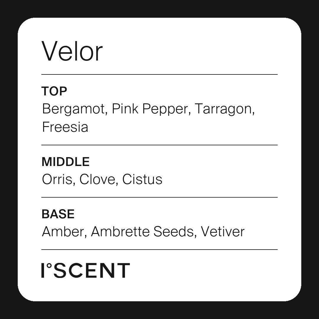Velor fragrance notes