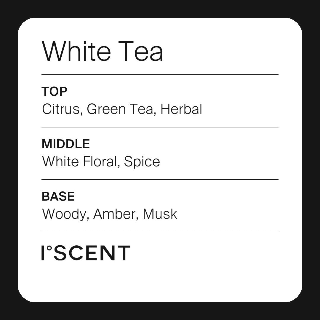 White Tea fragrance notes