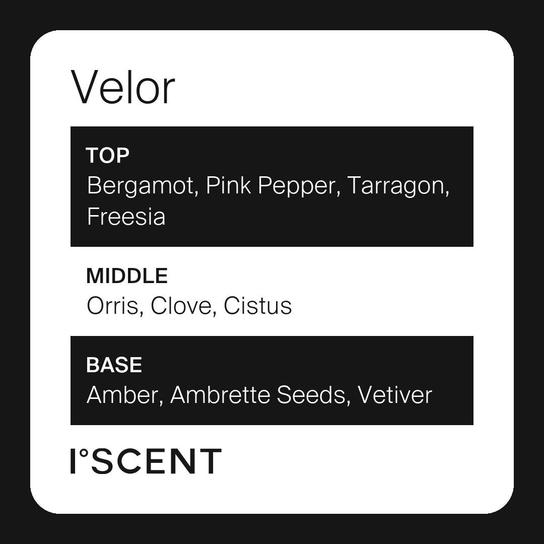 Velor fragrance notes
