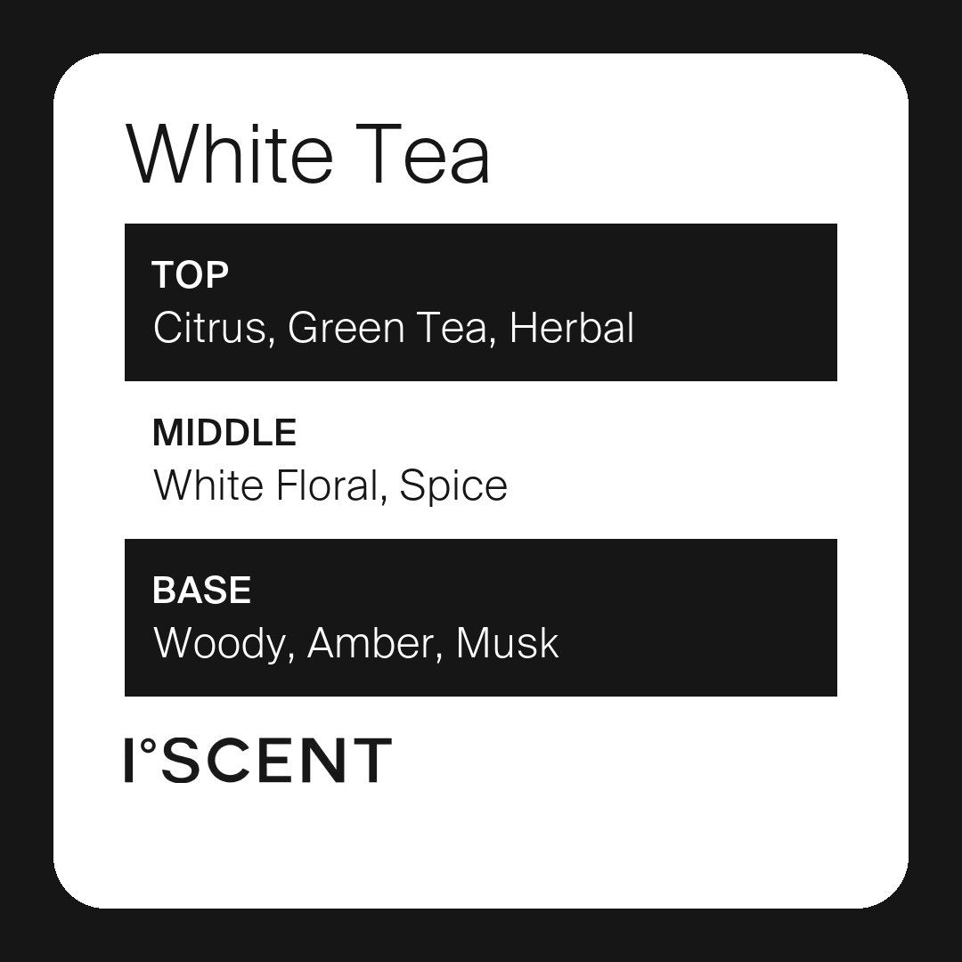 White Tea fragrance notes
